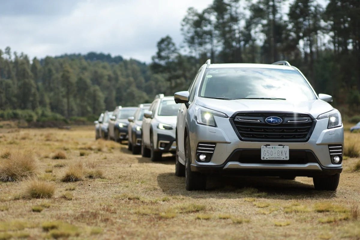 Important How To: Stop Forester Grill Rattle On Rough Roads — Subimods.com