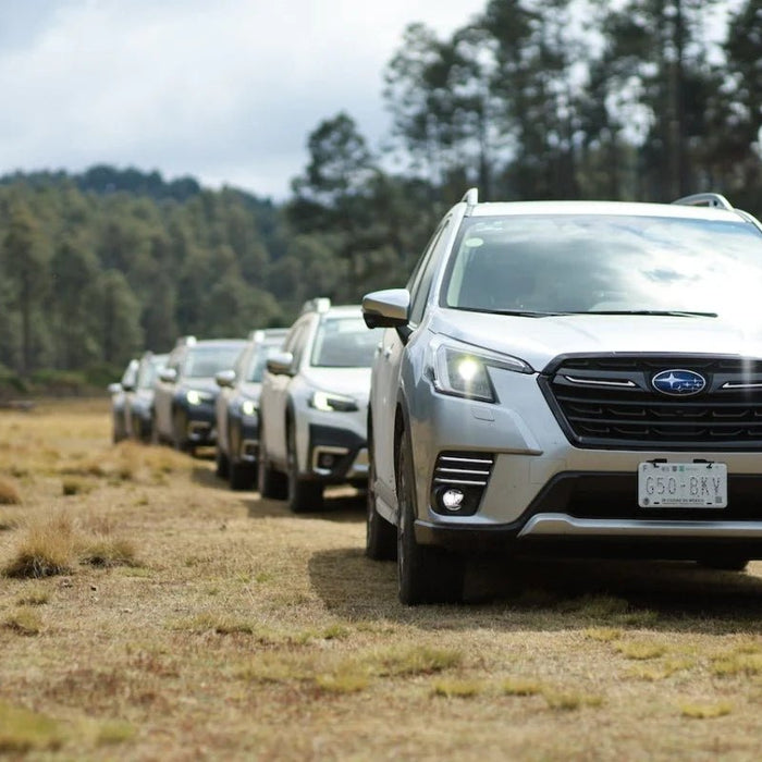 Stop Forester Grill Rattle On Rough Roads - Subimods.com