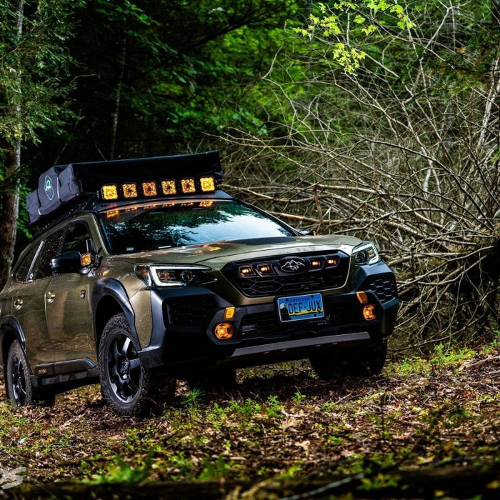 Subaru Wilderness Models: The Ultimate Guide to Subaru's Most Trail-Capable Lineup - Subimods.com