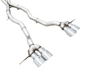 AWE Track Edition Catback Exhaust w/ Chrome Silver Tips 2021 - 2025 BMW M3 / M4 - 3020 - 43482 - Subimods.com