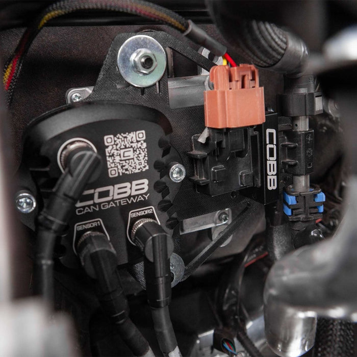 COBB CAN Flex Fuel Upgrade 2023 - 2025 Ascent - 346625 - Subimods.com