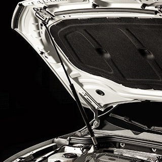 COBB Hood Struts 2022 - 2024 Volkswagen Golf GTI / Golf R - 8V3600 - Subimods.com