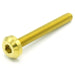Dress Up Bolts Throttle Body Titanium Hardware Kit 2022 - 2024 BRZ / 2022 - 2024 GR86 - SUB-032-Ti-GLD - Subimods.com