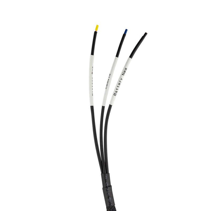 DS18 Plug and Play Harness For Harley Davidson For DS18 Amp Connection w/ Factory Radio - RY-HARNESS.HD - Subimods.com