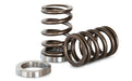 Kelford Cams Valve Spring Set 2000 - 2004 Outback w/ EZ30 Engine - KVS30 - Subimods.com