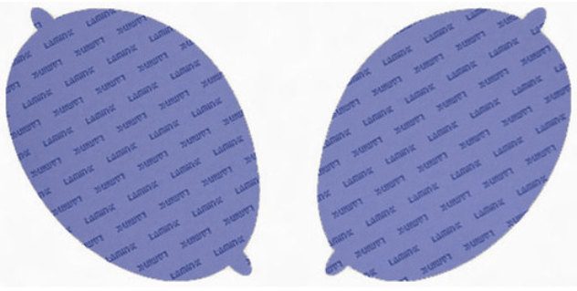 Lamin - X Headlight Overlay Kit 2002 - 2003 WRX - S001B - Subimods.com