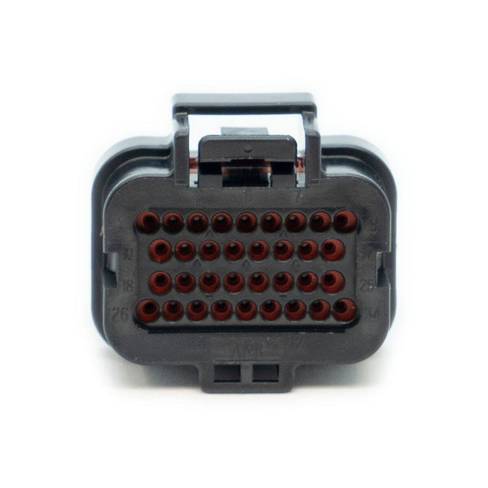 Link ECU B Loom Long For Use w/ Link G4, G4+ and G4X ECUs - 101 - 0009 - Subimods.com