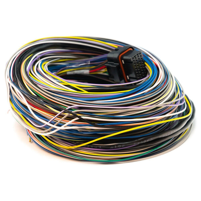 Link ECU B Loom Long For Use w/ Link G4, G4+ and G4X ECUs - 101 - 0009 - Subimods.com