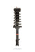 Pedders EziFit Rear Left Strut and Spring 2003 - 2008 Forester - 800473L - Subimods.com