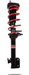Pedders EziFit Strut and Spring Assembly Rear Right 2003 - 2008 Forester - PED - 818473R - Subimods.com