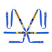 Sabelt Enduro Gold 2" FIA 8853 - 2016 Racing Harness - CFCI42170068 - Subimods.com