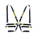 Sabelt Enduro Silver 2" Racing Harness FIA 8853 - 2016 - CFCI42100056 - Subimods.com