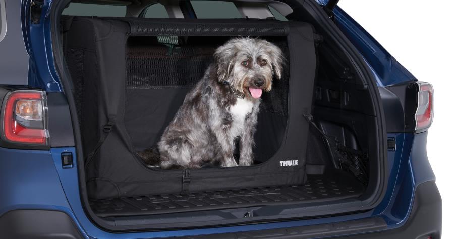 Subaru OEM Collapsible Pet Kennel Large by Thule 2021 - 2025 Ascent / 2021 - 2025 Forester / 2021 - 2025 Outback - SOA567P201 - Subimods.com