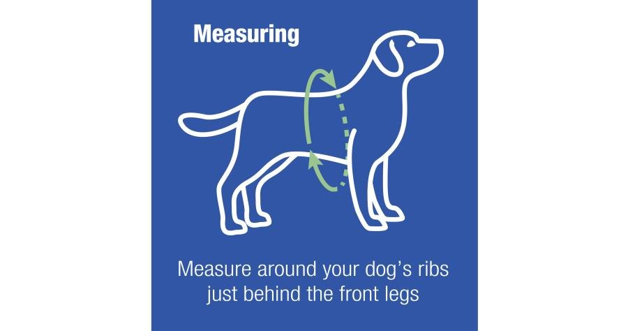 Subaru OEM Pet Harness Extra Large - SOA854H030 - Subimods.com