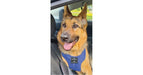 Subaru OEM Pet Harness Extra Large - SOA854H030 - Subimods.com