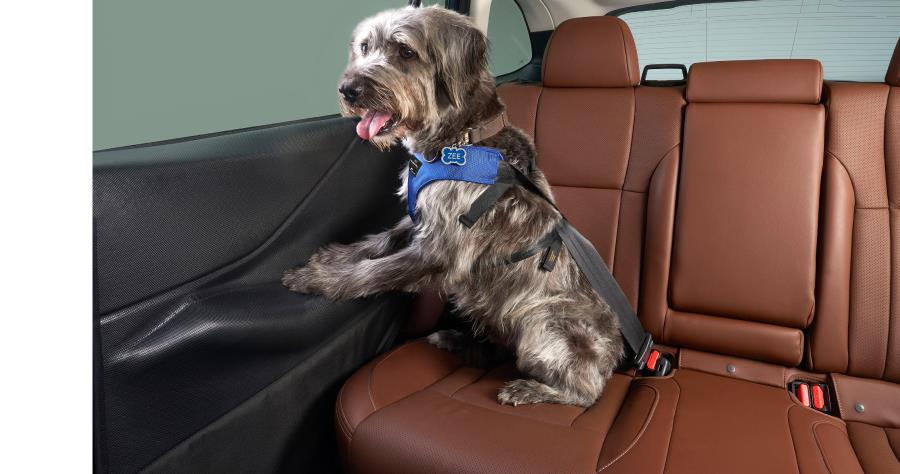 Subaru OEM Pet Rear Door Protector 2024 - 2025 Forester - SOA773A003 - Subimods.com