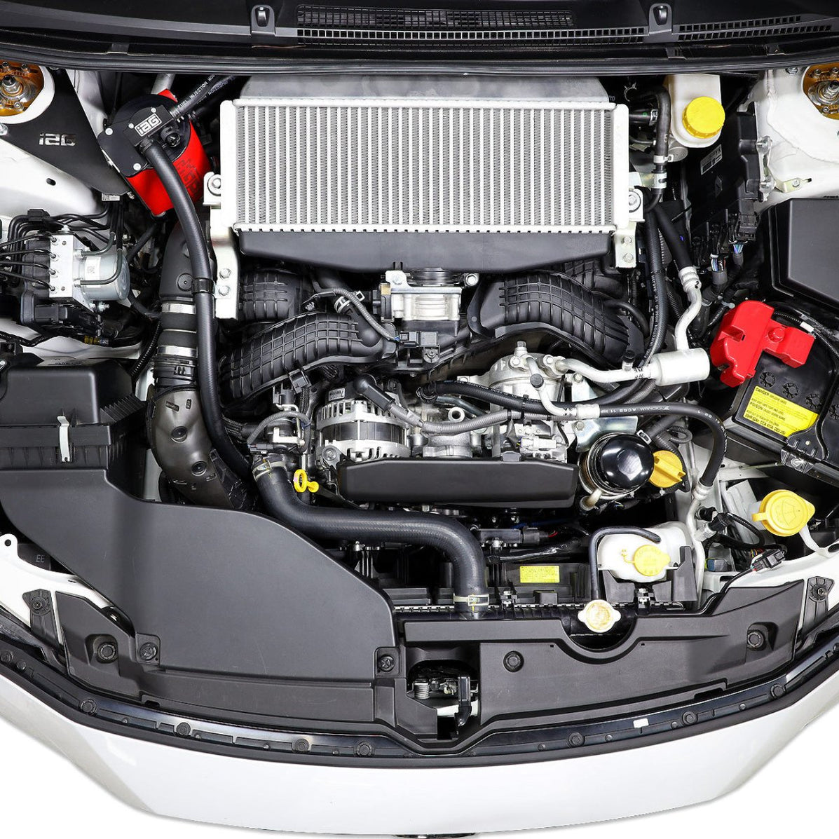 IAG Performance V3 Street Series Air / Oil Separator (AOS) Wrinkle Red