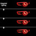 Spec-D Hook Style Sequential LED Tail Light Set Gloss Black Housing w/ Clear Lense 2013-2016 BRZ / 2013-2016 FRS - LT-FRS12BKLED-SQ-TM - Subimods.com